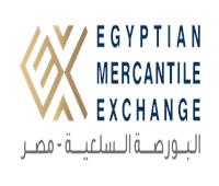 البورصة السلعية صمام الأمان للأسواق وآلية فعالة لضبط الأسعار |فيديو