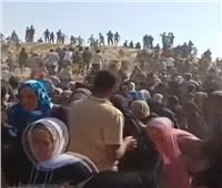 إطلاق نار وفوضى أثناء توزيع المساعدات غرب رفح الفلسطينية