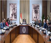 رئيس الوزراء يتابع موقف المشروعات الخدمية والتنموية بالوادي الجديد 
