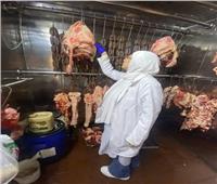 "الخدمات البيطرية" تعلن تطوير 8 مجازر في 5 محافظات وحملات رقابية على أسواق اللحوم