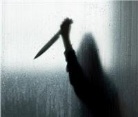 ضبط المتهم الثاني في واقعة قتل أحد الأشخاص بالإسكندرية 