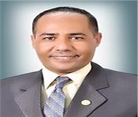 خالد أبو الليل نائبًا لرئيس الهيئة المصرية العامة للكتاب