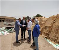 توريد 225 ألف طن قمح للشون والصوامع  بكفر الشيخ