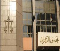 دائرة الحقوق والحريات تُلزم مفوضي مجلس الدولة بإعداد تقرير بالرأي