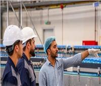 عُمان تطرح استثمارات في 98 مشروعاً غذائياً في "مدائن"