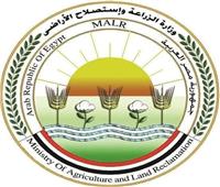"الزراعة": لا أزمة في خامات الأعلاف المستوردة والمحلية وسوق الدواجن‎