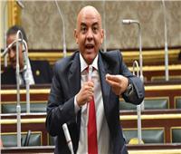 برلماني: رفض مصر للفيتو يدعم العدالة ويواجه تسييس القرارات الدولية‎
