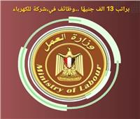 برواتب تصل إلى 13 ألف جنيه.. وزارة العمل تعلن عن وظائف جديدة للشباب