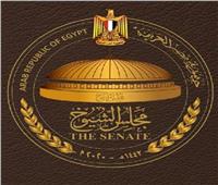 «الشيوخ» يناقش مشكلات التنمر والعنف داخل المدارس‎