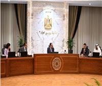 رئيس الوزراء يستعرض التعاون مع «برجيل القابضة» في مجال زرع النخاع