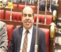 برلماني: خطة الاستجابة للاجئين لعام 2025 تجسد التزام مصر بالعدالة الإنسانية