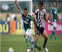 موعد مباراة بالميراس وبوتافوجو في كأس العالم للأندية
