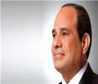 الرئيس السيسي يوجه بمتابعة صيانة وإصلاح الطرق بكل دقة وخاصة الدائري الإقليمي
