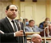 برلماني: الحكومة ملتزمة بالحفاظ على السلم المجتمعي‎