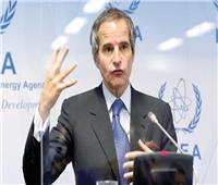 سلوفينيا تعلن دعمها الكامل لمدير الوكالة الدولية للطاقة الذرية