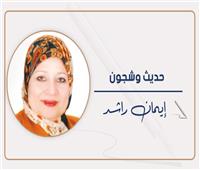 إيمان راشد تكتب: هجرة الصبر والتضامن