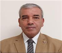 خبير جيولوجي: مصر بعيدة عن حزام الزلازل.. والنشاط الحالي لا يدعو للقلق