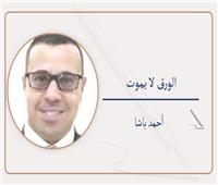 الصحف المطبوعة ذاكرة للأمة 
