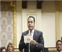 برلماني: هدفنا صياغة قانون عصري للرياضة يعكس مكانة مصر