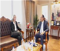 محمد شيمي: الدولة ملتزمة بالتحول الأخضر وتعزيز الشراكة مع المستثمرين الدوليين