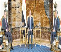 تفعيل الشراكة الإستراتيجية بين مصر والصين |السيسى: تعزيز الاستثمارات المشتركة فى الصناعة والطاقة المتجددة