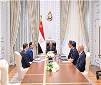 الرئيس السيسي: الأمن الغذائي المصري في وضع مستقر ومطمئن