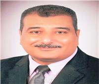 «زراعة أسيوط»: 3 شكاير أسمدة لكل فدان وإزالة تعديات على أراضي زراعية