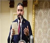 برلماني: مصر تكثف جهودها لتحقيق الاكتفاء الذاتي من السلع والقمح أولوية‎