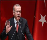 أردوغان: إسرائيل تسعى لتأسيس ممر إرهابي جنوب سوريا