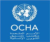 «أوتشا»: الباحثون عن الغذاء في غزة يخاطرون بحياتهم للحصول على لقمة
