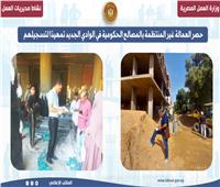 تمهيدًا لتسجيلهم.. حصر عمالة غير المنتظمة بالمصالح الحكومية في الوادي الجديد 