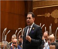 برلماني: الإخوان يحاولون تشويه دور مصر في دعم القضية الفلسطينية‎
