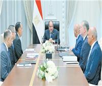 الرئيس يتابع مشروعات البتروكيماويات والصناعات التعدينية |السيسى: جذب الاستثمارات وتوفير احتياجات السوق المحلية والتصدير