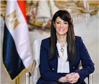 وزارة التخطيط تطلق «منصة بيانات أهداف التنمية المستدامة بالمحافظات»