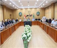 أبو ليمون: المنوفية تنهي استعداداتها لانتخابات مجلس الشيوخ 2025