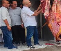 ضبط 2 طن ونصف لحوم ودواجن وأسماك وكبدة فاسدة بالمنوفية