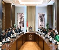 رئيس الوزراء يتابع جهود دعم صناعة الدواء في مصر