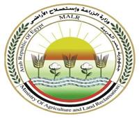 «الزراعة» تنظم برنامج تدريبي عن نظام إدارة سلامة الغذاء