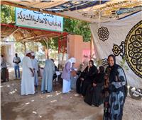 حالتا إعياء خلال التصويت في انتخابات مجلس الشيوخ بأسوان