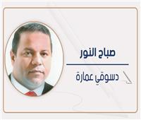 دسوقي عمارة يكتب: وزير الداخلية.. والردع العام