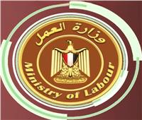 براتب يصل لـ9400 جنيه.. «العمل» تعلن 191 وظيفة في مجال الصيدلة