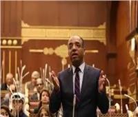 برلماني: الموقف المصري العربي الإسلامي سيظل سندًا وداعمًا للقضية الفلسطينية‎