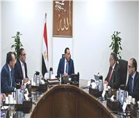 رئيس الوزراء يتابع مع "رئيس اقتصادية المثلث الذهبي" عدداً من ملفات العمل