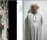 ضبط حارس عقار قتل كلبًا بعصا خشبية في أكتوبر