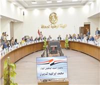 الشوربجى: القضية الفلسطينية فى مقدمة أولويات مصر