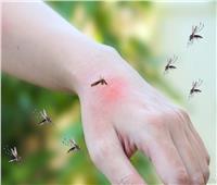 قرصة صغيرة ومخاطر كبيرة.. احذر قرصة البعوض