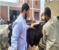 قافلة بيطرية مجانية بقرية دنشواي للنهوض بالثروة الحيوانية والداجنة