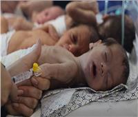 مصر تدعم أطفال غزة بتوزيع الحليب للرضع