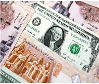 هل يواصل الدولار تراجعه أمام الجنيه؟.. خبير يوضح