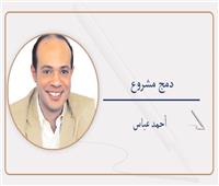دمج مشروع
